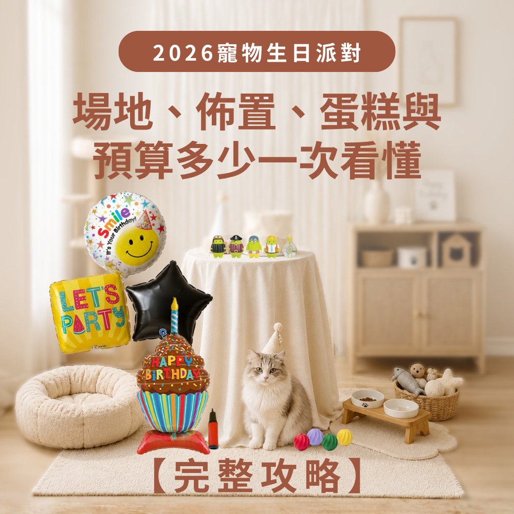 派對氣球SEO 2026寵物生日派對完整攻略
