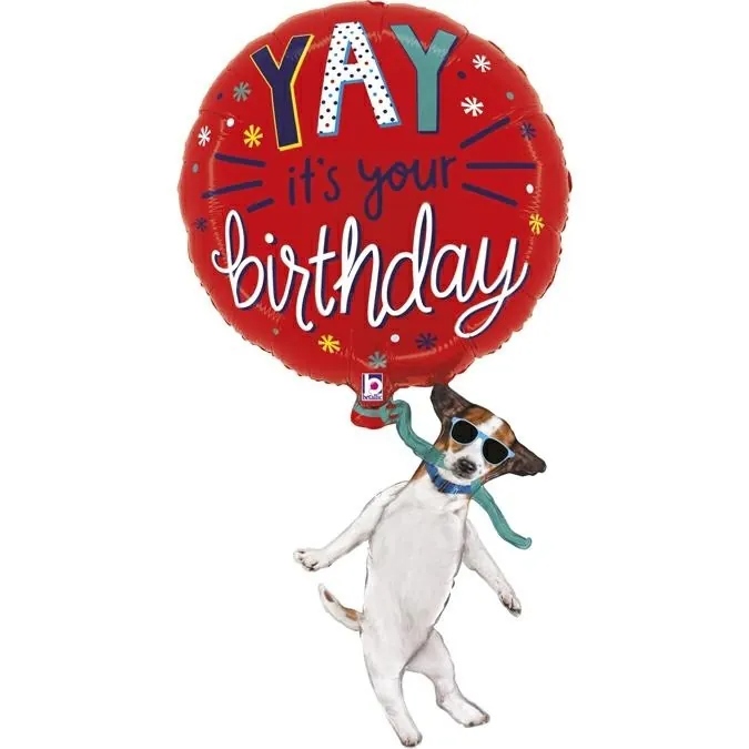 耶！狗狗慶祝生日
